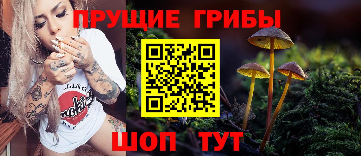 Псилоцибиновые грибы Cubensis Клинцы